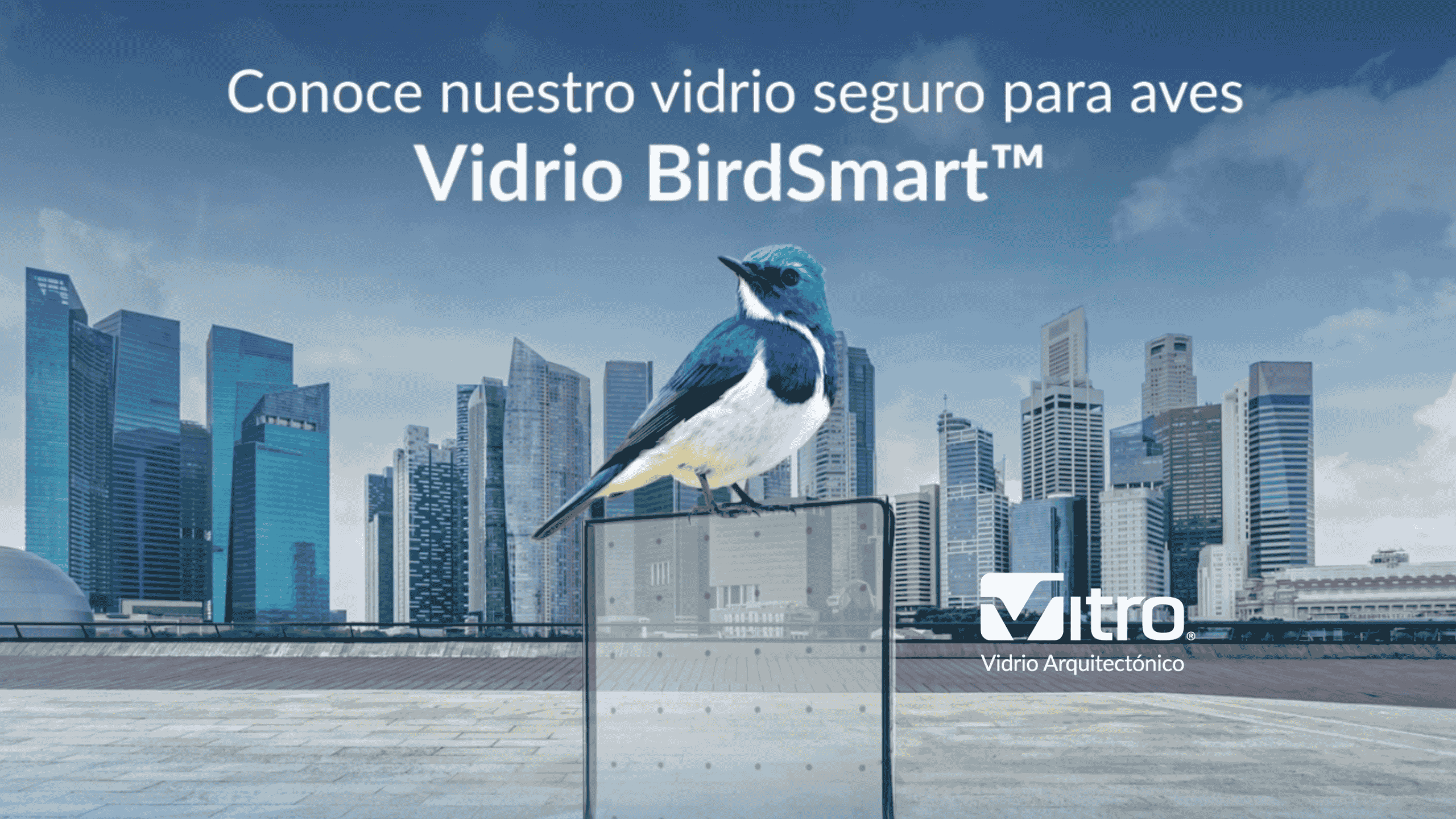 Vidrio BirdSmart de Vitro