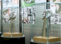 low-iron glass display cases showcasing Vince Lombardi Trophies